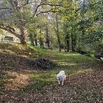 Les Girouteaux Le Fenil