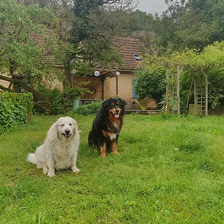 Les Girouteaux Le Fenil Holiday home Les Eyzies